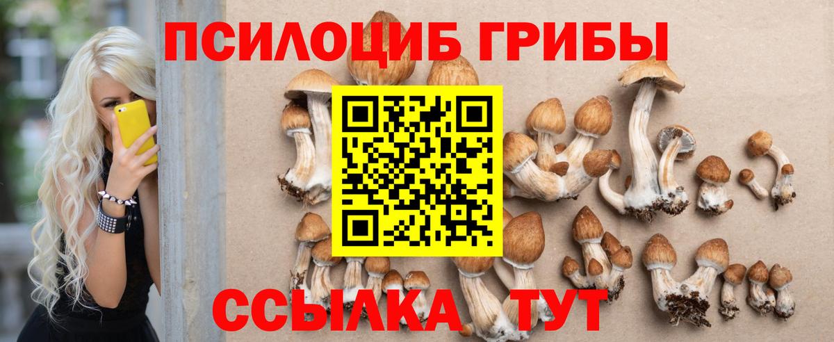 Галлюциногенные грибы мухоморы Шелехов